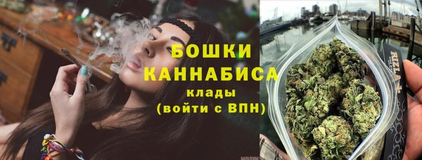 сатива Пересвет