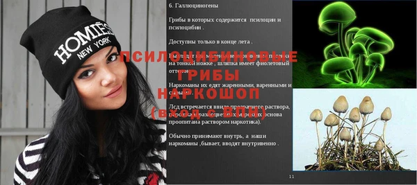 стафф Переславль-Залесский