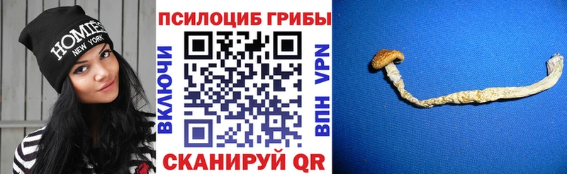 Псилоцибиновые грибы Magic Shrooms  Козьмодемьянск 